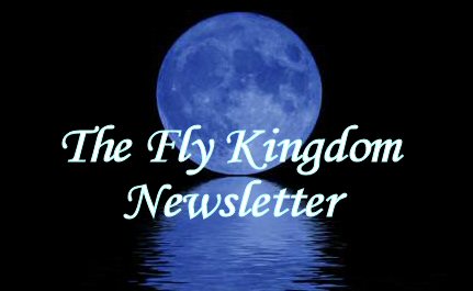 The Fly Kingdom Newsletter